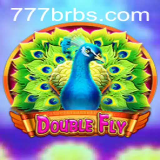 DoubleFly: Exploring the Thrills of the 777 BR Adventure